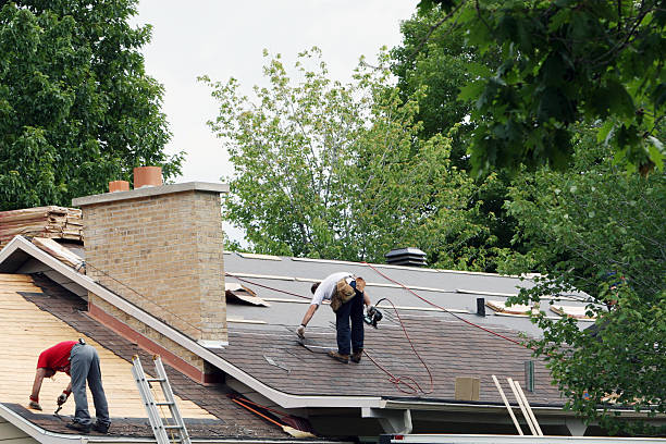 Best Roof Repair Services  in Logan, UT